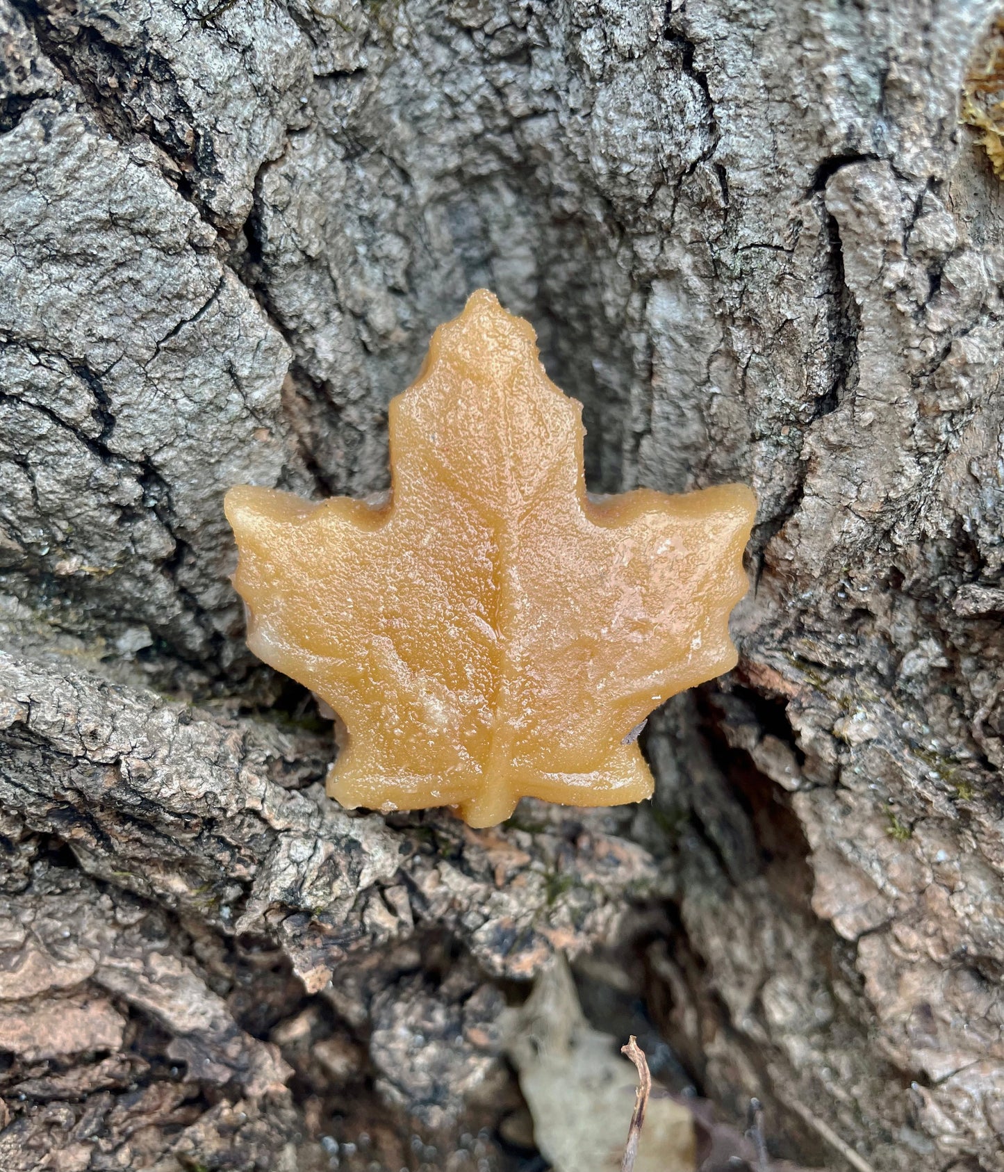 Soft Maple Sugar Candy Fallen Leaves Maple Products